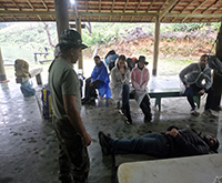 aruana_001.jpg