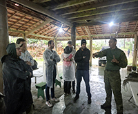 aruana_008.jpg