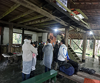 aruana_010.jpg