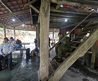 aruana_013.jpg