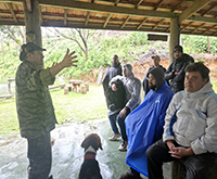 aruana_017.jpg