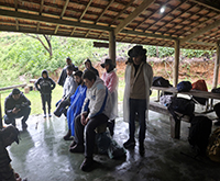 aruana_025.jpg