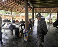 aruana_026.jpg