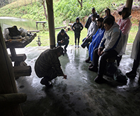 aruana_027.jpg