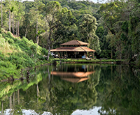 aruana_030.jpg