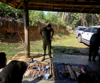 aruana_039.jpg