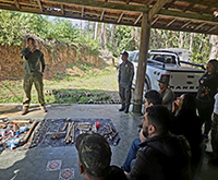 aruana_040.jpg