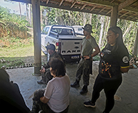 aruana_043.jpg