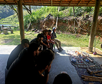 aruana_044.jpg