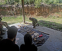 aruana_045.jpg