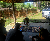 aruana_046.jpg