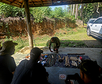 aruana_047.jpg