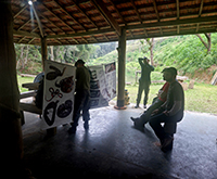 aruana_048.jpg