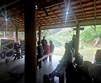 aruana_056.jpg