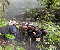 aruana_066.jpg