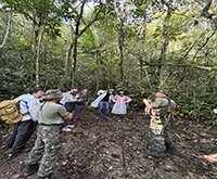 aruana_068.jpg