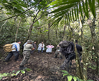 aruana_069.jpg