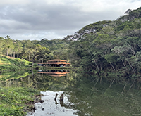 aruana_072.jpg