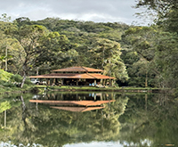 aruana_073.jpg