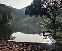 aruana_074.jpg