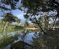 aruana_075.jpg