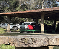 aruana_076.jpg