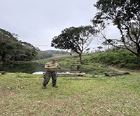 aruana_082.jpg
