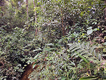 cg18_022.jpg