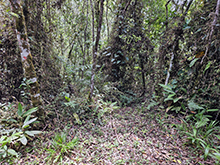 cg18_032.jpg