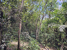 cg18_033.jpg
