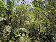 cg18_034.jpg