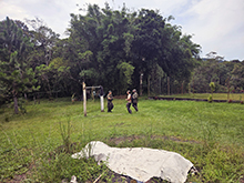 cg18_041.jpg